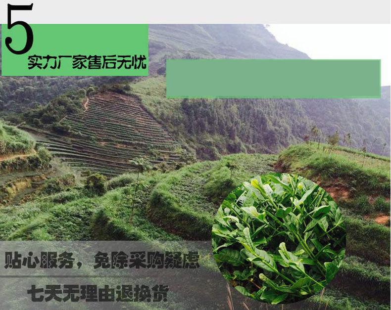 2396357798_576435656