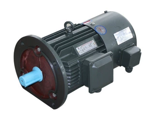 变频调速三相异步电动机YVF2-315S-4 110KW4级电机