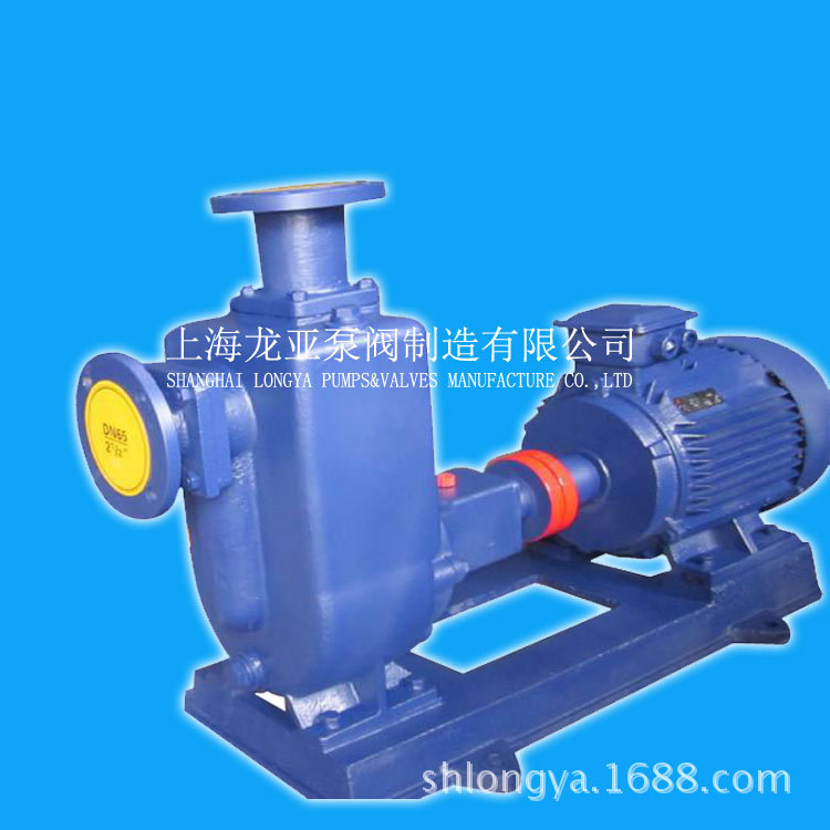 200ZW300-25无堵塞316L不锈钢排污泵(图)