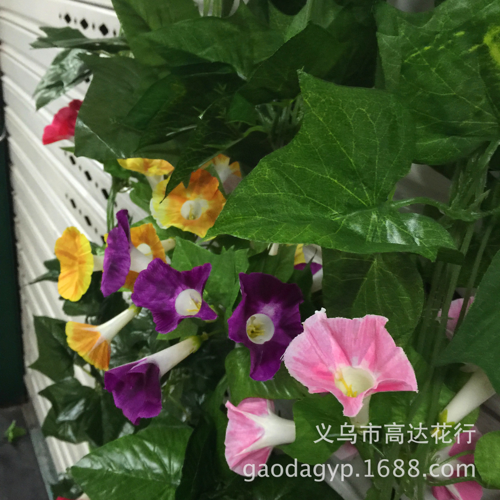 18号大千牛花条