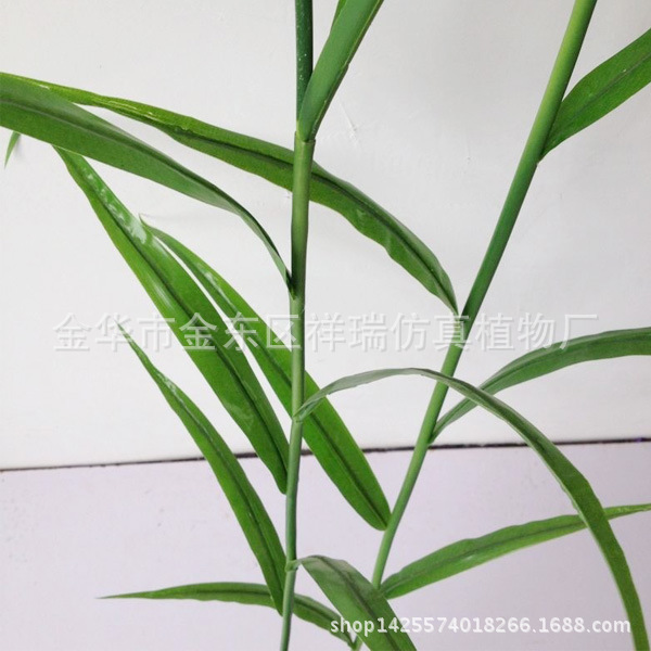 小芦苇叶6叶1花叶子