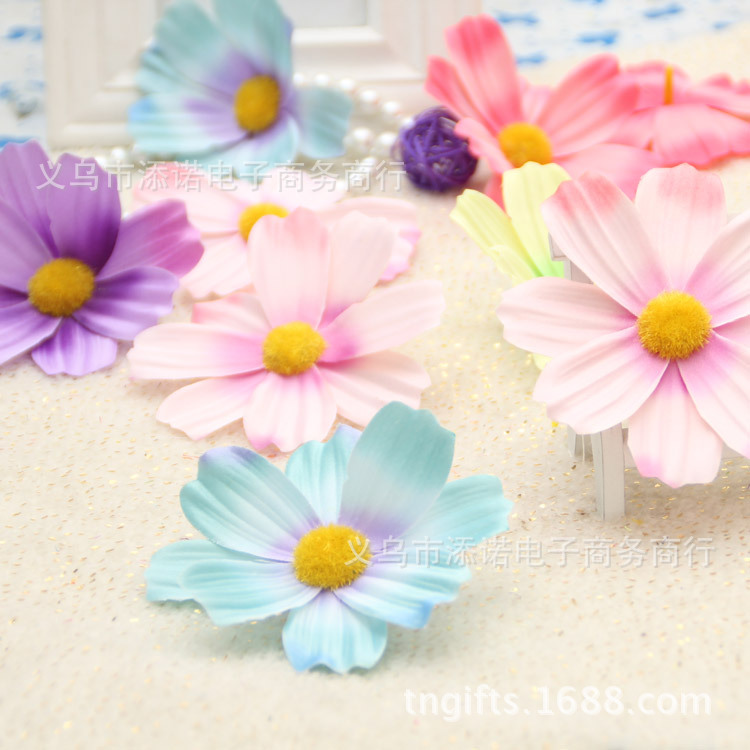太阳花白色波斯菊 DIY拖鞋头饰花胸花帽子花 10cm