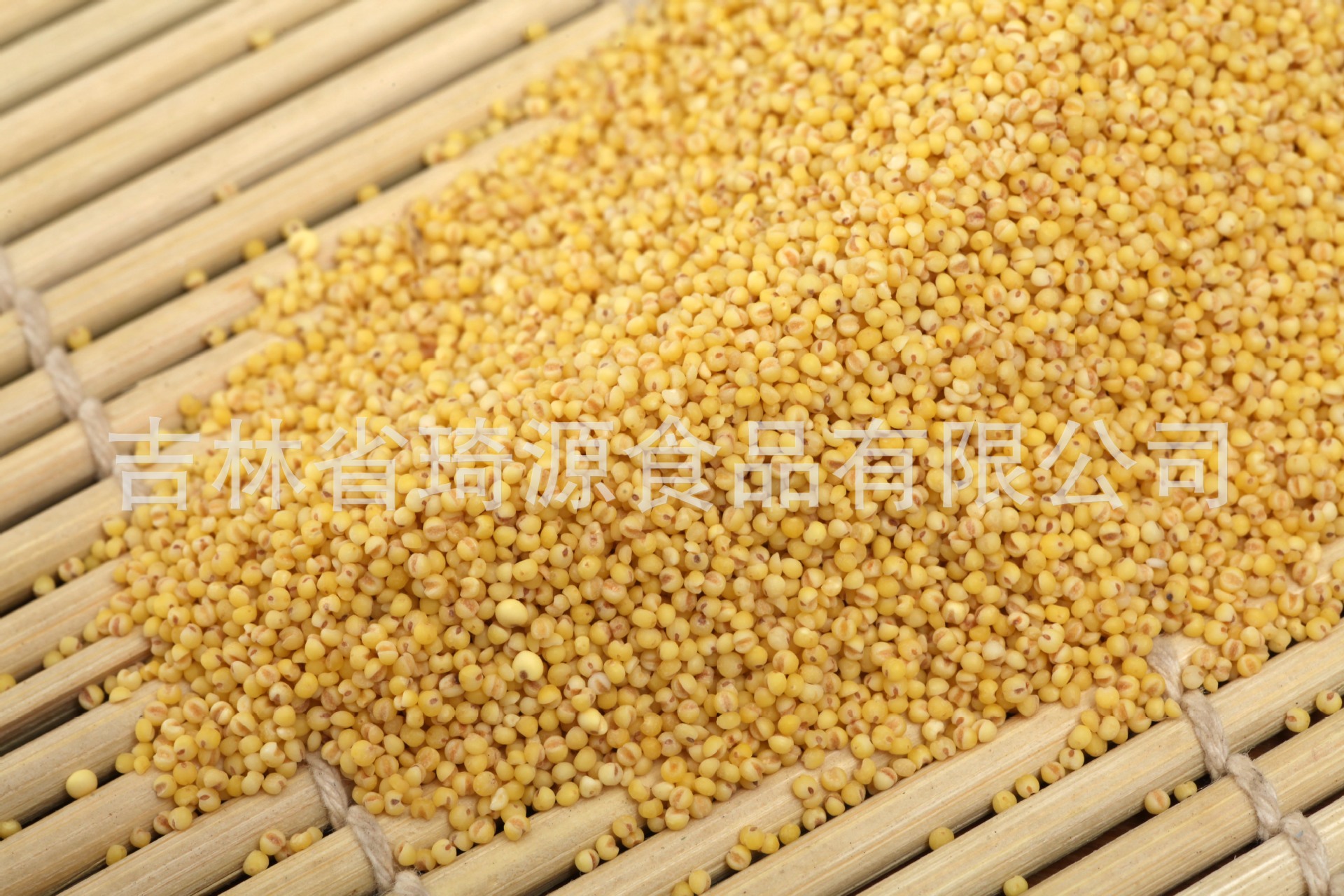Low Temperature Roasted Millet Whole Grain Cereal for Congee and Soy Milk Northeast China in use