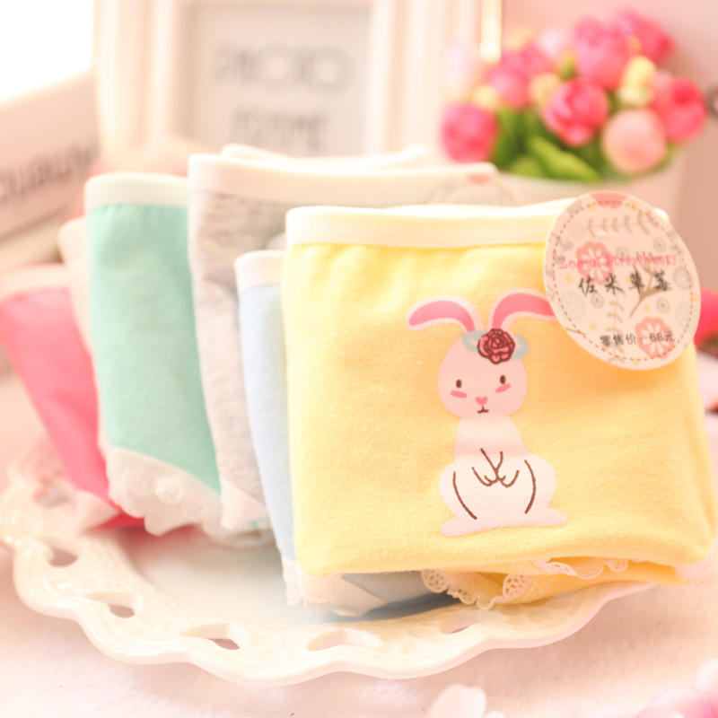 Slip jeune A019 en coton - Ref 647876 Image 12