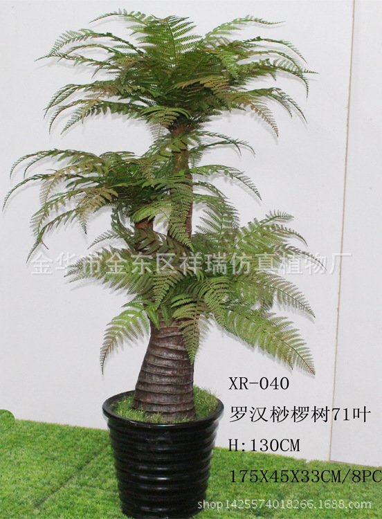 XRS-040l罗汉桫椤叶树71叶130厘米
