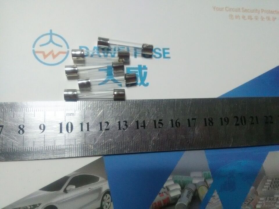 销电流保险丝500MA250V630MA250V750MA250V800MA250V用于咖啡产品
