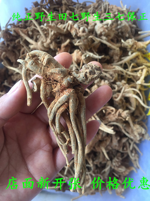 IMG_9202_野生三七_副本