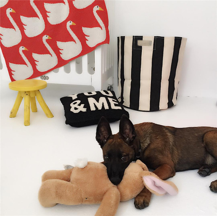 TB2.Nm.hVXXXXXiXpXXXXXXXXXX_!!