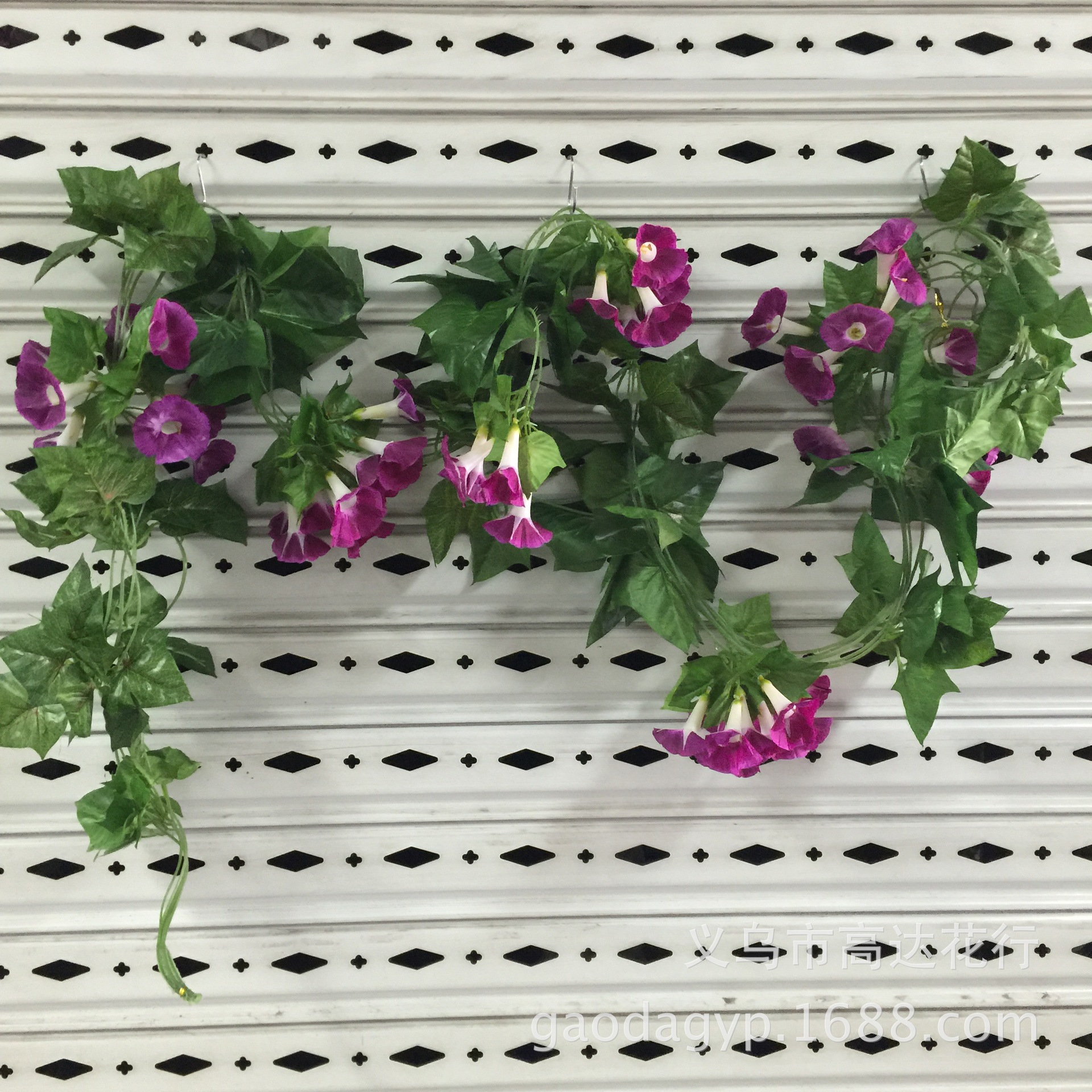 18号大牵牛花花条