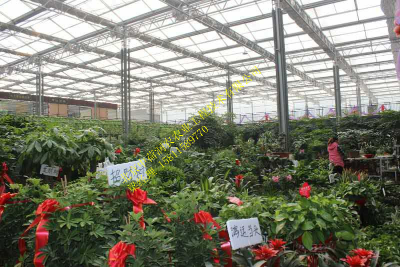 中荷润农供应陕西西安观光采摘育苗用玻璃连栋智能温室