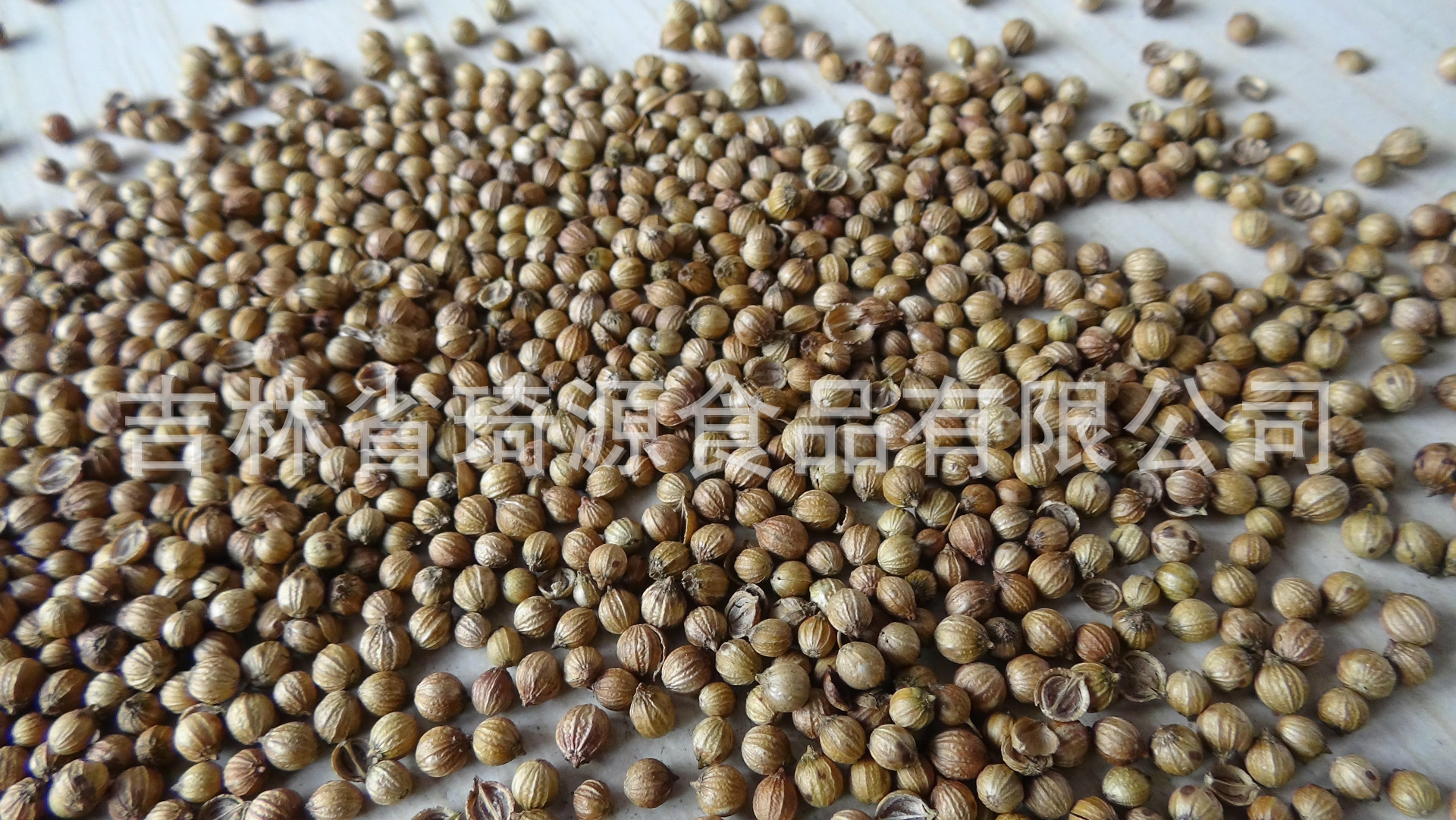 Roasted Coriander Seeds Low Temperature Baked Cilantro Seed Bulk Whole Spice key features