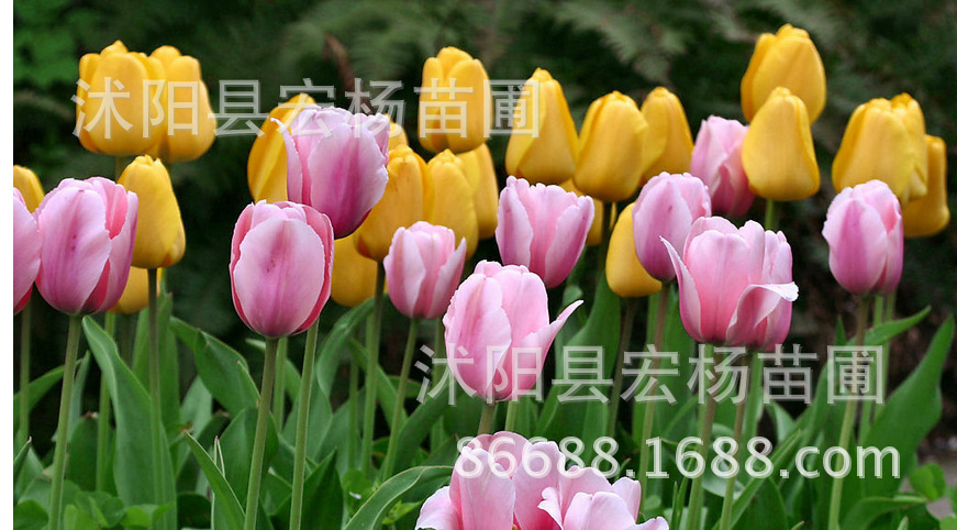 QQ图片20151008161240