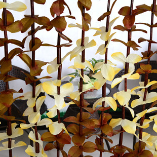 ���l �pɫ�ߙnˮ���~�T�� �캟 �͏d�͏d���Ҹ����T��