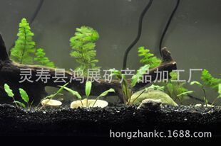 ���a�ӹ������ھ�ɳ  �ھ�ɰ ��ɳ  ˮ�����ɰ �辰ɳ