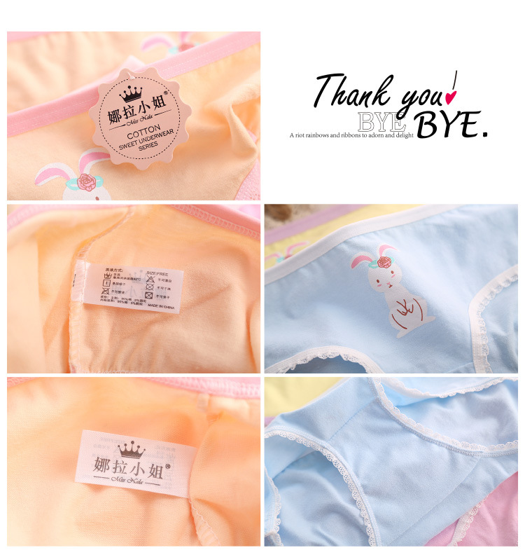 Slip jeunesse Lapin 01 en coton - Ref 655423 Image 15