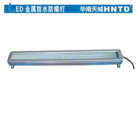 防爆灯价格TD-42-20W  深圳灯图片  HNTD防爆灯品牌