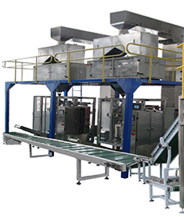 VFS1100全自动装包机01