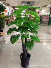 �S��ֱ���߷���ֲ���С�_�h��ˮ�^��1.6�״��~�G�}�Ҿ��b��辰