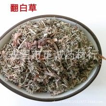 中药材 翻白草 鸡脚爪 千锤打 泡茶1000克