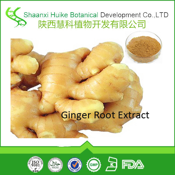 生姜提取物3