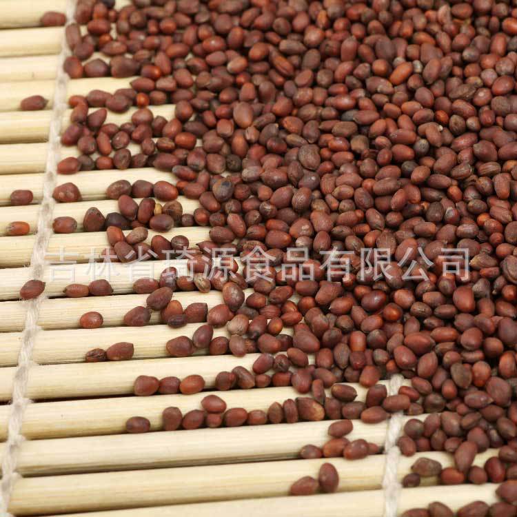 Low Temperature Baked Radish Seeds Bulk Da Luo Zi Ready to Eat Herbal Snack key features