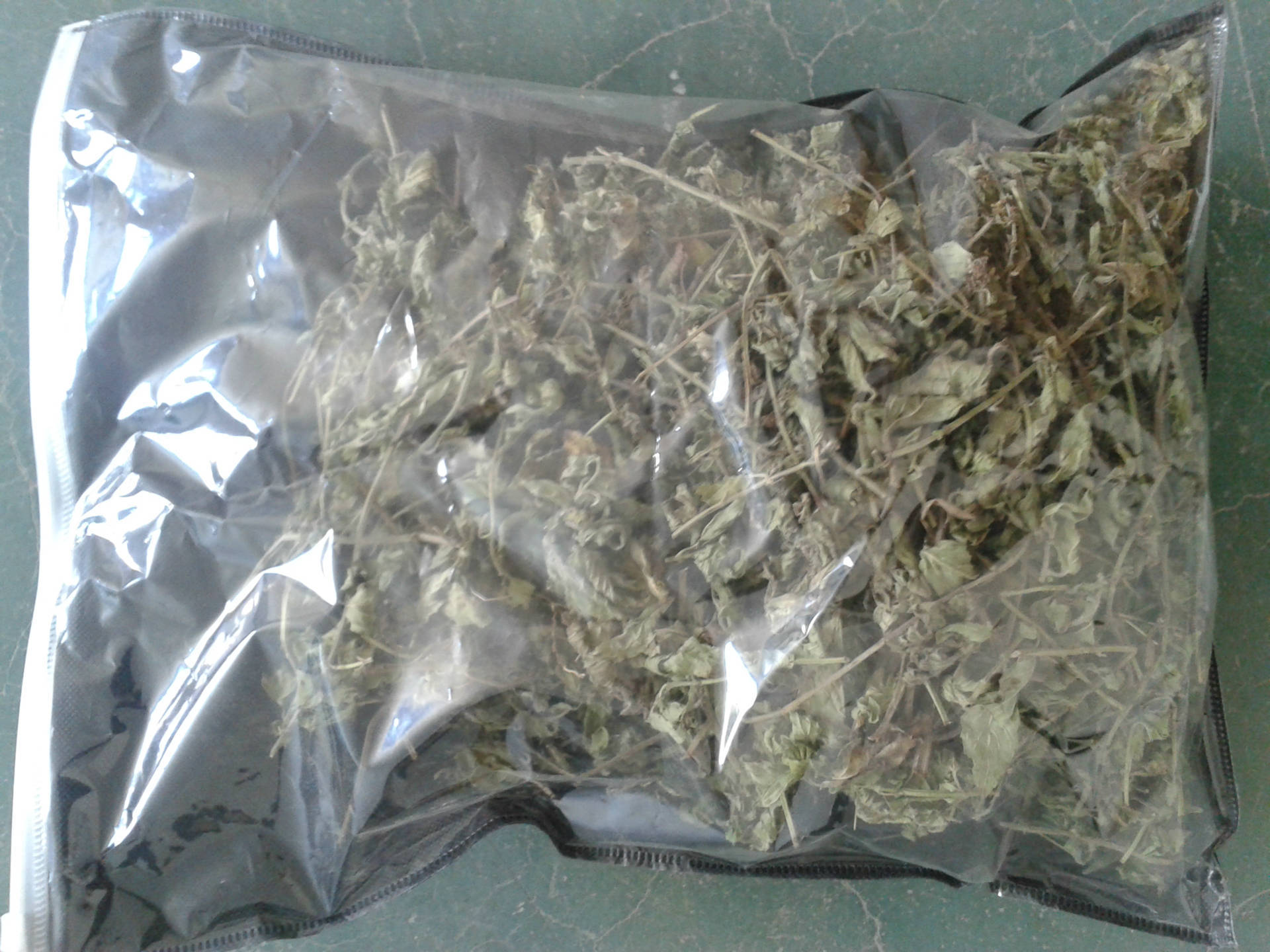 薄荷烘干