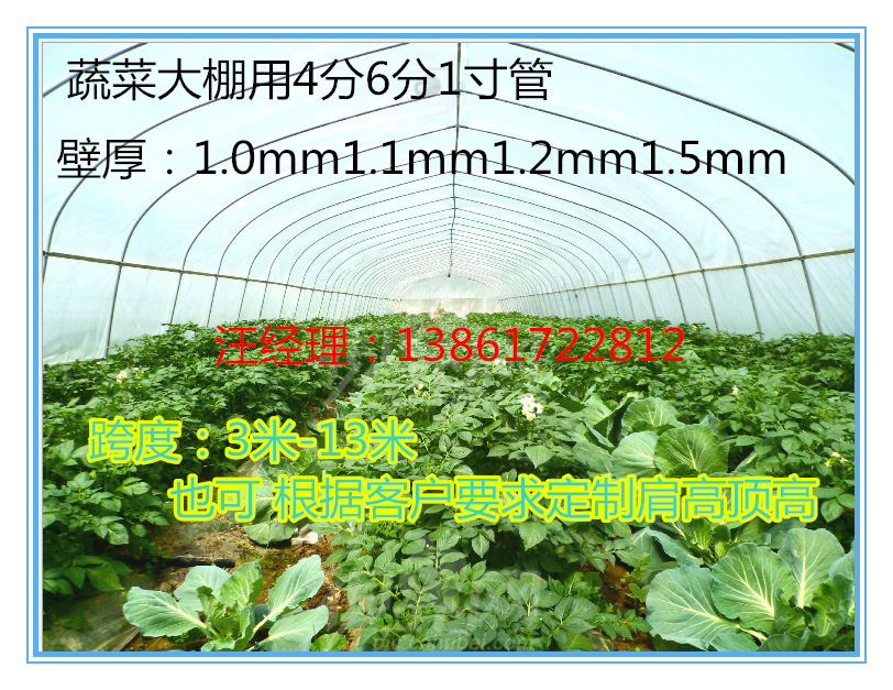 蔬菜大棚骨架