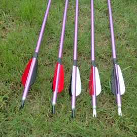 厂家供应6061铝管箭 紫色箭杆 真羽 可换头 初学者用