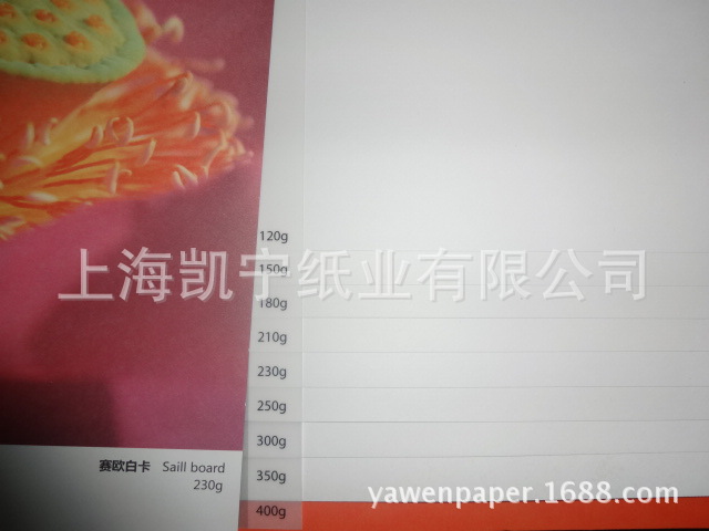 DSC02436
