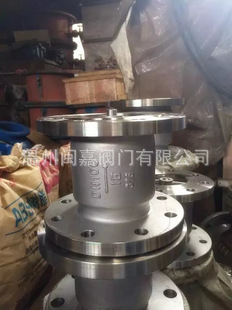 100X不锈钢控制浮球阀 100不锈钢控制浮球阀