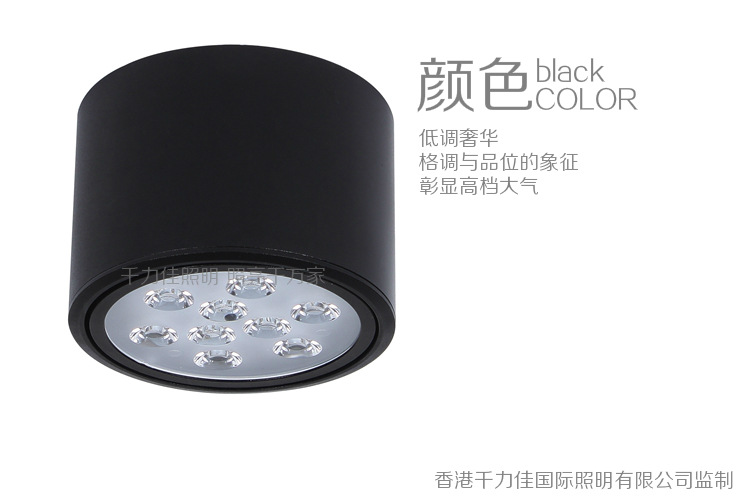 BK CS0509 9-1W顏色