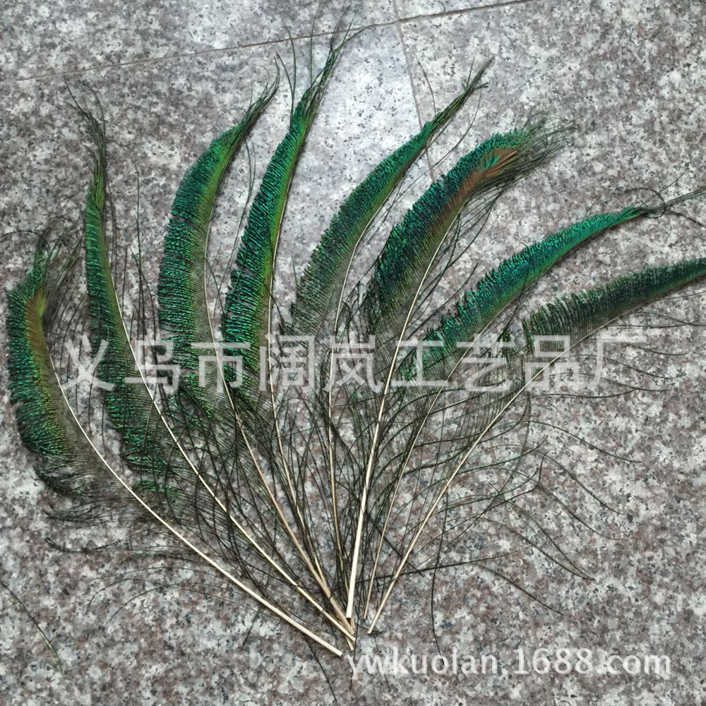 17F90E8B205D8874A7634DDB97D8A3