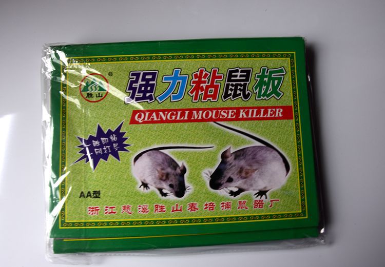 照片 029
