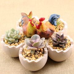 Creative Eggshell Resin Plant Pot Miniature Landscape Terrarium Rustic Flower Vase Desk Plant Pot Ornament