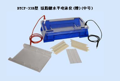 北京六一厂仪器 DYCP-33B型 琼脂糖水平电泳仪(槽) (中号) |ms