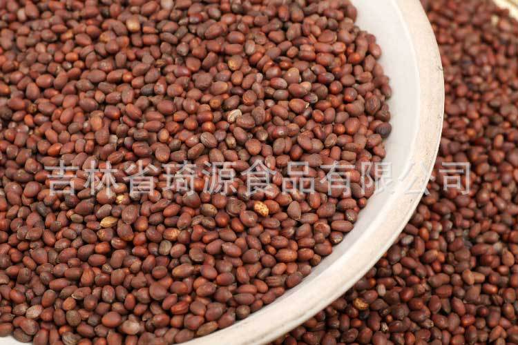 Low Temperature Baked Radish Seeds Bulk Da Luo Zi Ready to Eat Herbal Snack quality and texture