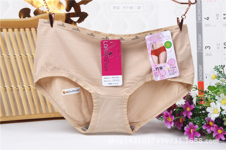 Slip jeunesse LARAINE en coton - Ref 644225 Image 14