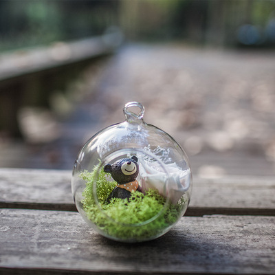 永生花玻璃罩 悬挂玻璃苔藓花瓶 多肉植物微景观  情人节特卖