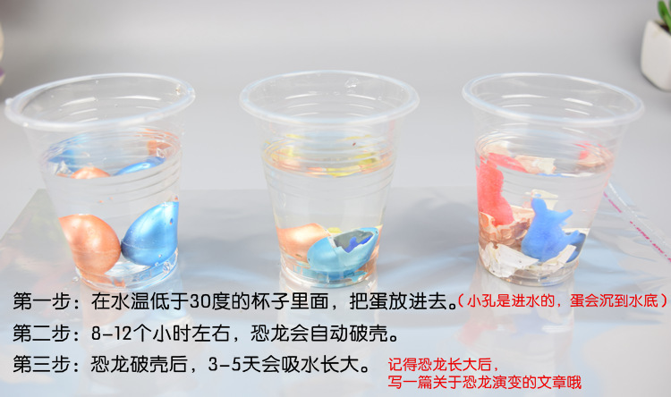 恐龙蛋孵化图片
