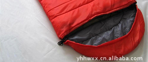 417652298_731577378_副本2