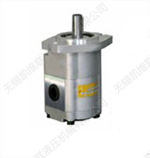 CMF-F306-AFPS,CMF-F308-AFPS,齿轮马达