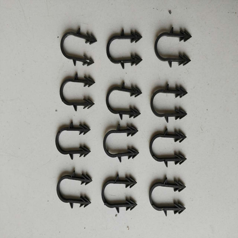 405803294232146777_副本