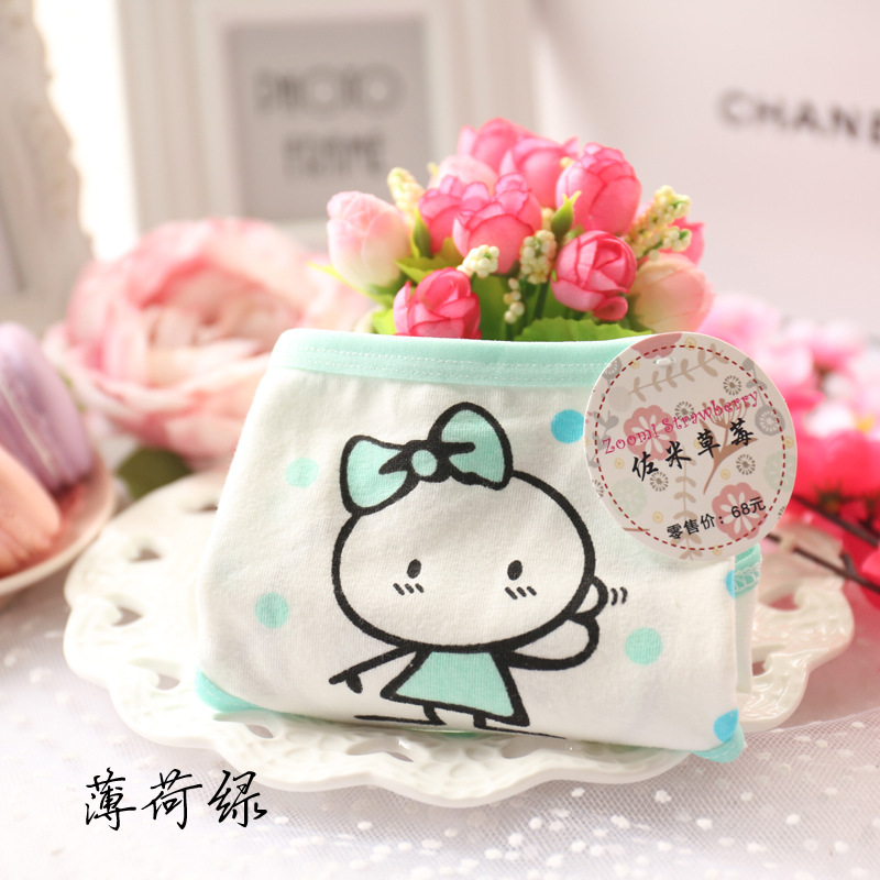 Slip jeune A010 en coton - Ref 648476 Image 22