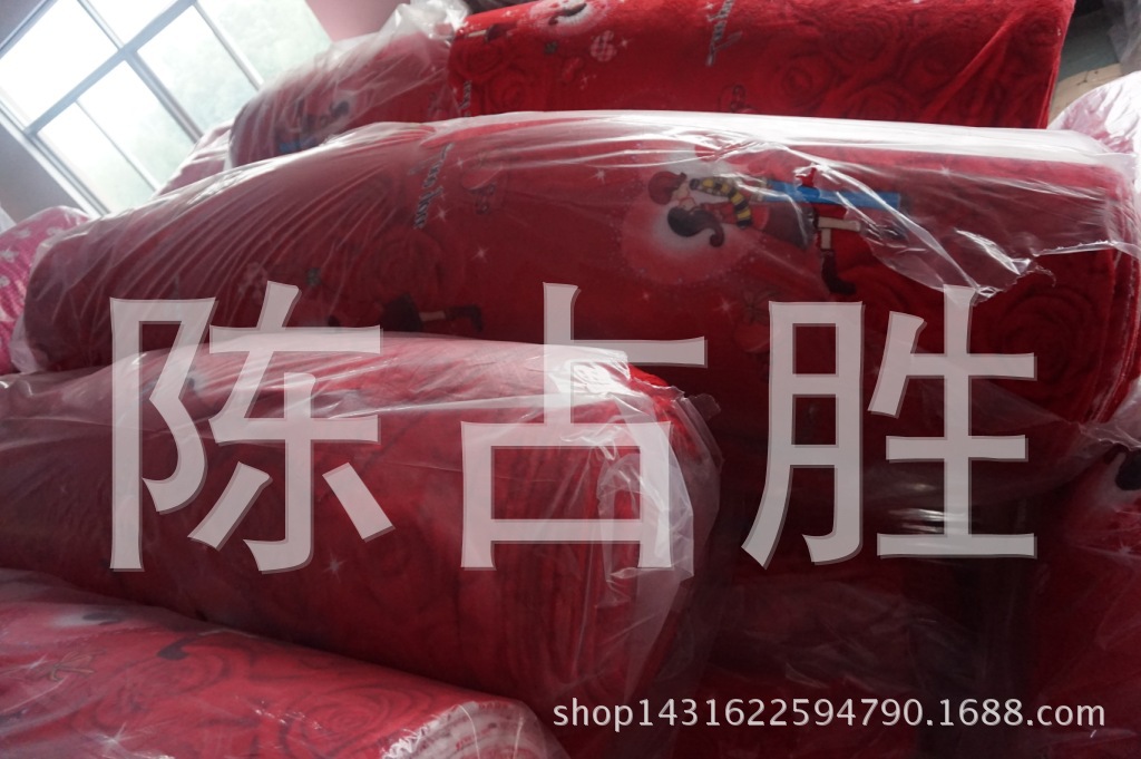 DSC00207