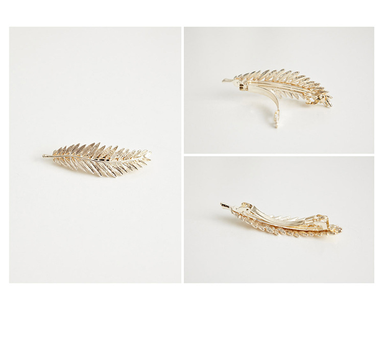 Vintage Feather Leaf Leaf Coniferous Edge Clip Spring Clip display picture 4