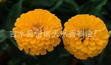 万寿菊油[金盏花油]  化妆品原料 植物精油 原料油 DIY基础油