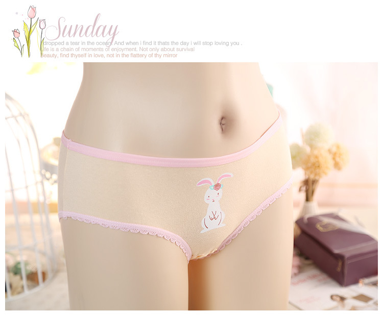 Slip jeunesse Lapin 01 en coton - Ref 655423 Image 16