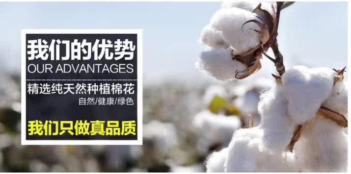 1918912664_221992358