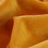 FC2 (150g weight)