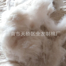 ɽ�|�S�� �U���w���_���� �U�f������� ̫�ձ������޶�N����